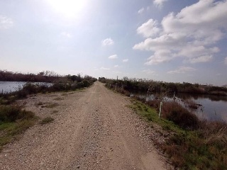 S. Albufera 23