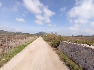 S. Albufera 24