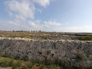 S. Albufera 27