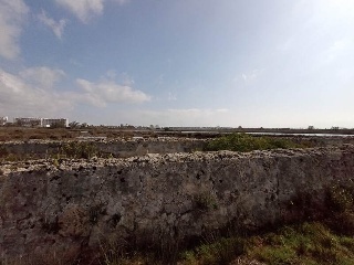 S. Albufera 28