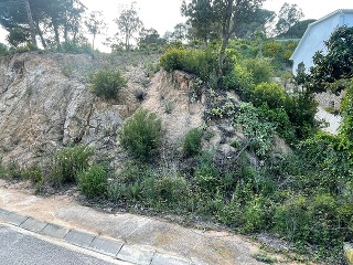 Agora Park 6