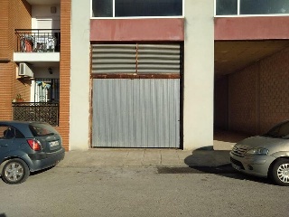 Palmeras 2