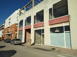 Palmeras 3