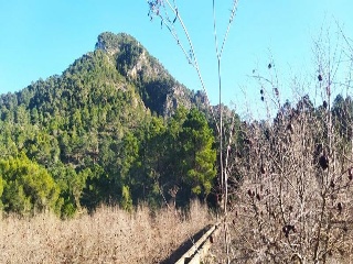 Cercat 2