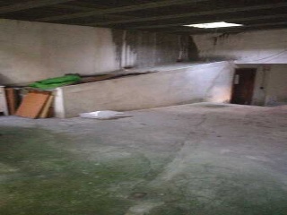 San Isidro 5
