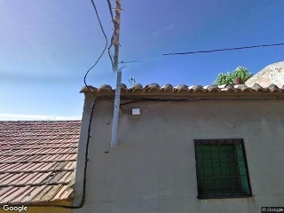 Flor 2