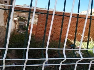 Flor 10