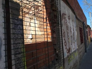 Flor 11