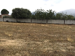 Cota 2