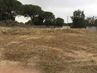 Cota 4
