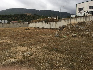 Cota 8