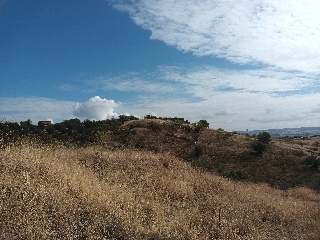 Pisos banco Molar (El)