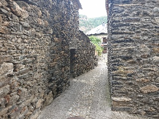 Los Rosales 6