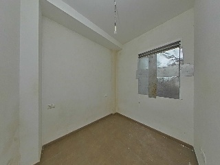 Olivos 5