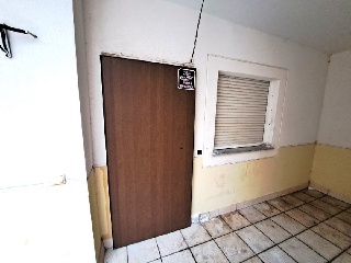 Olivos 12