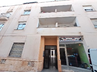Olivos 15
