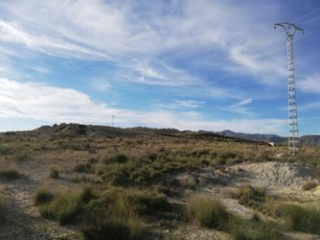 Barranco. Abanilla 9