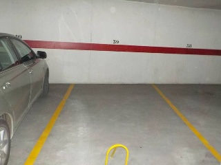 Fuente Ral 5