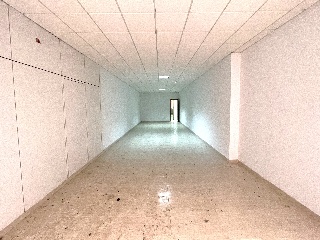 Mayor 3
