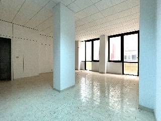 Mayor 6