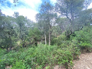 Nou Carrer 5
