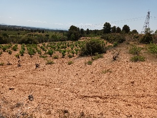 Pasaje Hoya Huesos 7