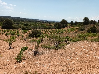 Pasaje Hoya Huesos 8