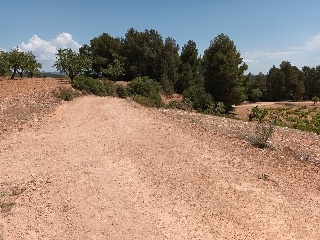 Pasaje Hoya Huesos 9