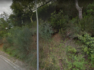 Olivera 3