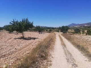 El Poste. Partido De Collado Del Rey 2