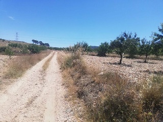 El Poste. Partido De Collado Del Rey 3