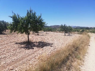 El Poste. Partido De Collado Del Rey 4