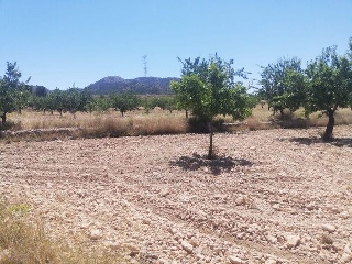 El Poste. Partido De Collado Del Rey 5