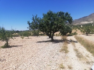 El Poste. Partido De Collado Del Rey 6