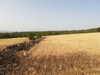 Aguica M. Lorca 3