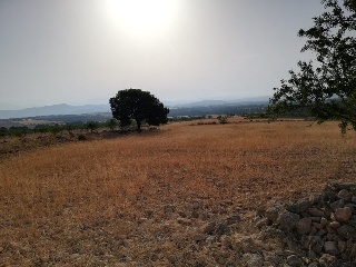 Aguica M. Lorca 4