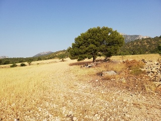 Aguica M. Lorca 5
