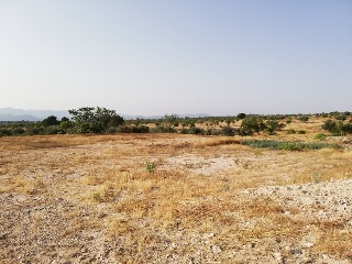 Aguica M. Lorca 6