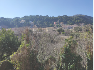 Poligono 35 6