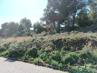Poligono 36 6
