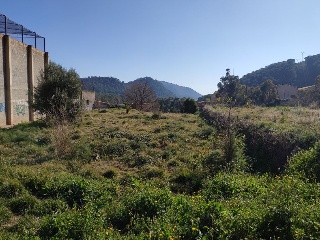 Pisos banco Serra