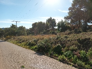 Poligono 35 5