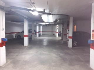 Olivos 3