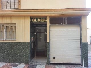Olivos 5