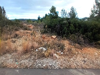 Loma Caballeros 2