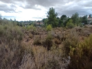 Loma Caballeros 4
