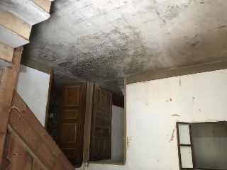 Zamora 3