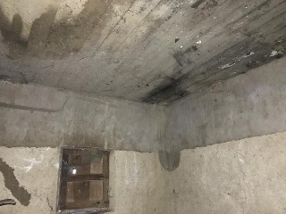 Zamora 5
