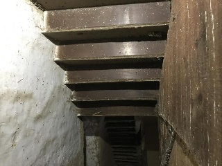 Zamora 7