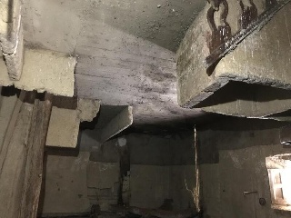 Zamora 8